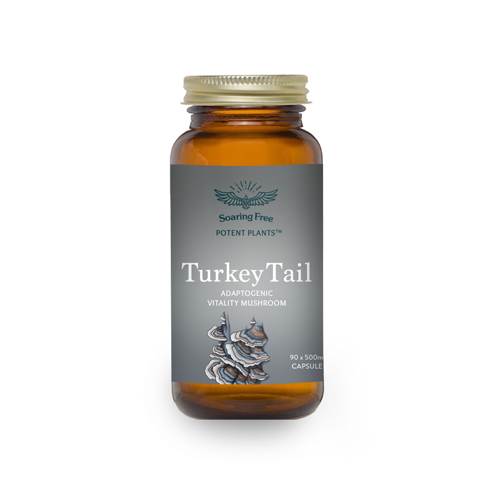 Soaring Free Potent Plants Turkey Tail Capsules 90s