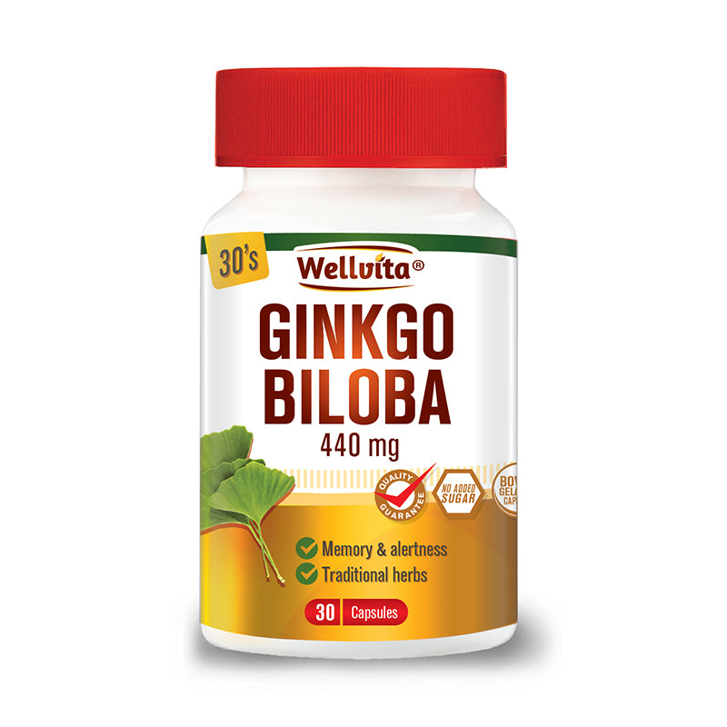 Wellvita 440mg Gingko Biloba Memory & Alertness Herbal Remedy Capsules 30 Capsules