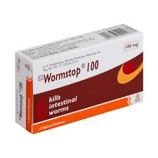 Wormstop 100mg Tablets 6's