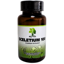 Big Tree African Herbal Medicines – Sceletium 60 Capsules