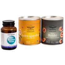 All-Star Adaptogen Bundle