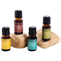 Common Cold Essential Oil Support Bundle 4 Piece Set