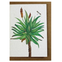 Growing Paper Aloe Greeting Card 