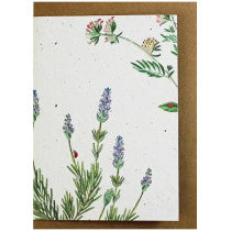 Growing Paper Lavender Greeting Card 