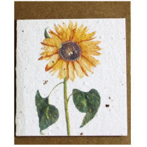 Growing Paper Sunflower Mini Card 