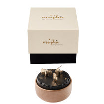 Morphee – The Ultimate Sleep & Meditation Device