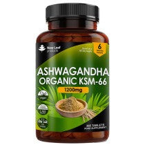 New Leaf Ashwagandha KSM-66 Tablets 365 Tablets