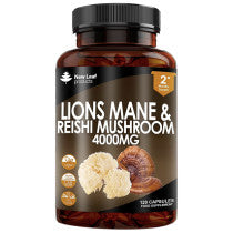 New Leaf Lions Mane & Reishi Capsules 120 Capsules