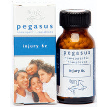 Pegasus Injury 6C