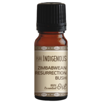 Pure Indigenous Zimbabwean Resurrection Bush Myrothamnus Flabellifolia Essential Oil 10ml