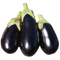 Sandveld Seeds Aubergine' Night Shadow 25 Seeds