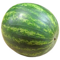 Sandveld Seeds Congo Melon - Watermelon 5g