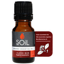 SOiL Clove Essential Oil 10ml
