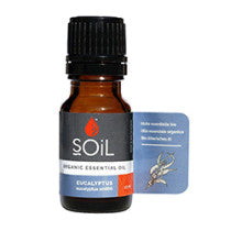 SOiL EucalyptuSmithii Essential Oil Multiple Sizes