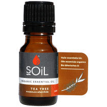 SOiL Tea Tree Essential Oil Multiple Sizes