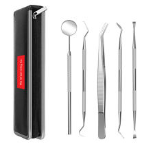 The Great Living Co Oral Hygiene Plaque Remover Dental Kit 5 Piece Set