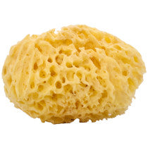Natural Honey Comb Bath Sponge Large 