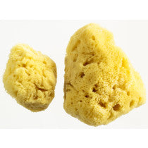 Woman Kind Menstrual Sponges Pack of 2 Medium Large 
