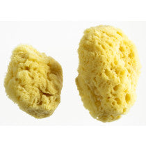 Woman Kind Menstrual Sponges Pack of 2 Small Medium 