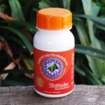 Medi Mushrooms Shiitake - King of Mushrooms 60