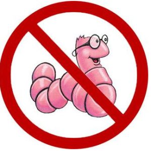 Wormstop 100 Tablets 6s