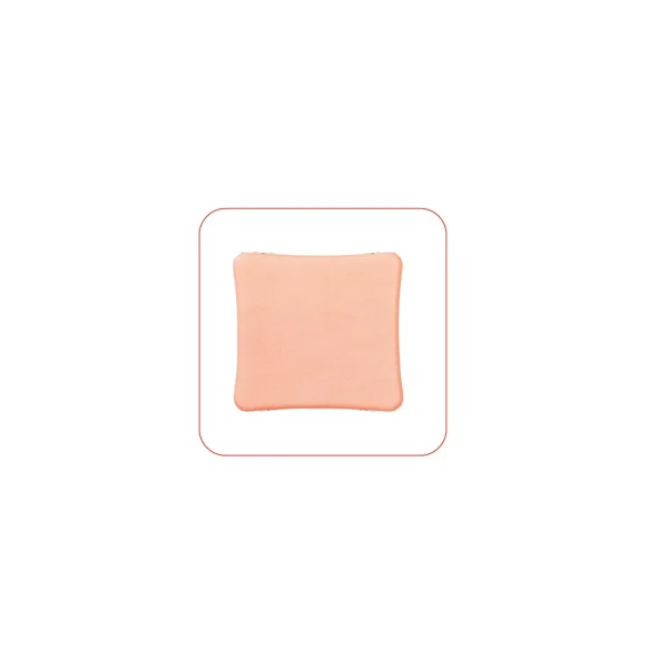 Allevyn Non Adhesive Dressing 100mm X 100mm (2)